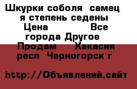 Шкурки соболя (самец) 1-я степень седены › Цена ­ 12 000 - Все города Другое » Продам   . Хакасия респ.,Черногорск г.